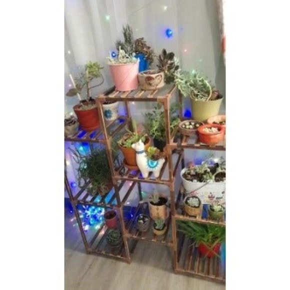 Accents | 9 Shelf 3 Tier Indoor Plant Rack Wood Usable For ...